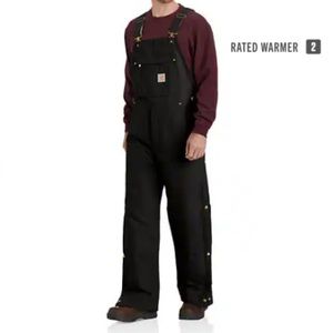Carhartt firm duck insulated bib overalls